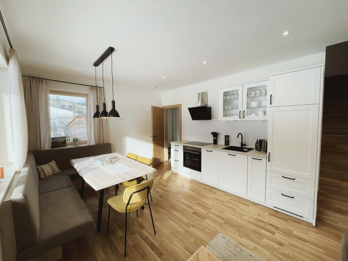Mei-So-Nett Appartement Hutegger Schladming Extérieur photo