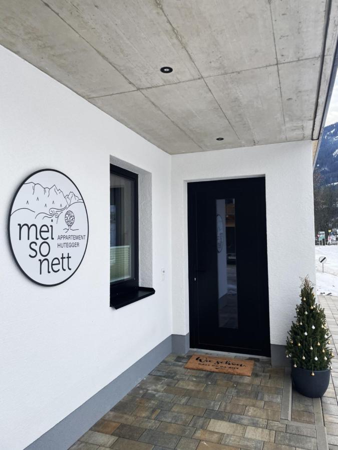 Mei-So-Nett Appartement Hutegger Schladming Extérieur photo