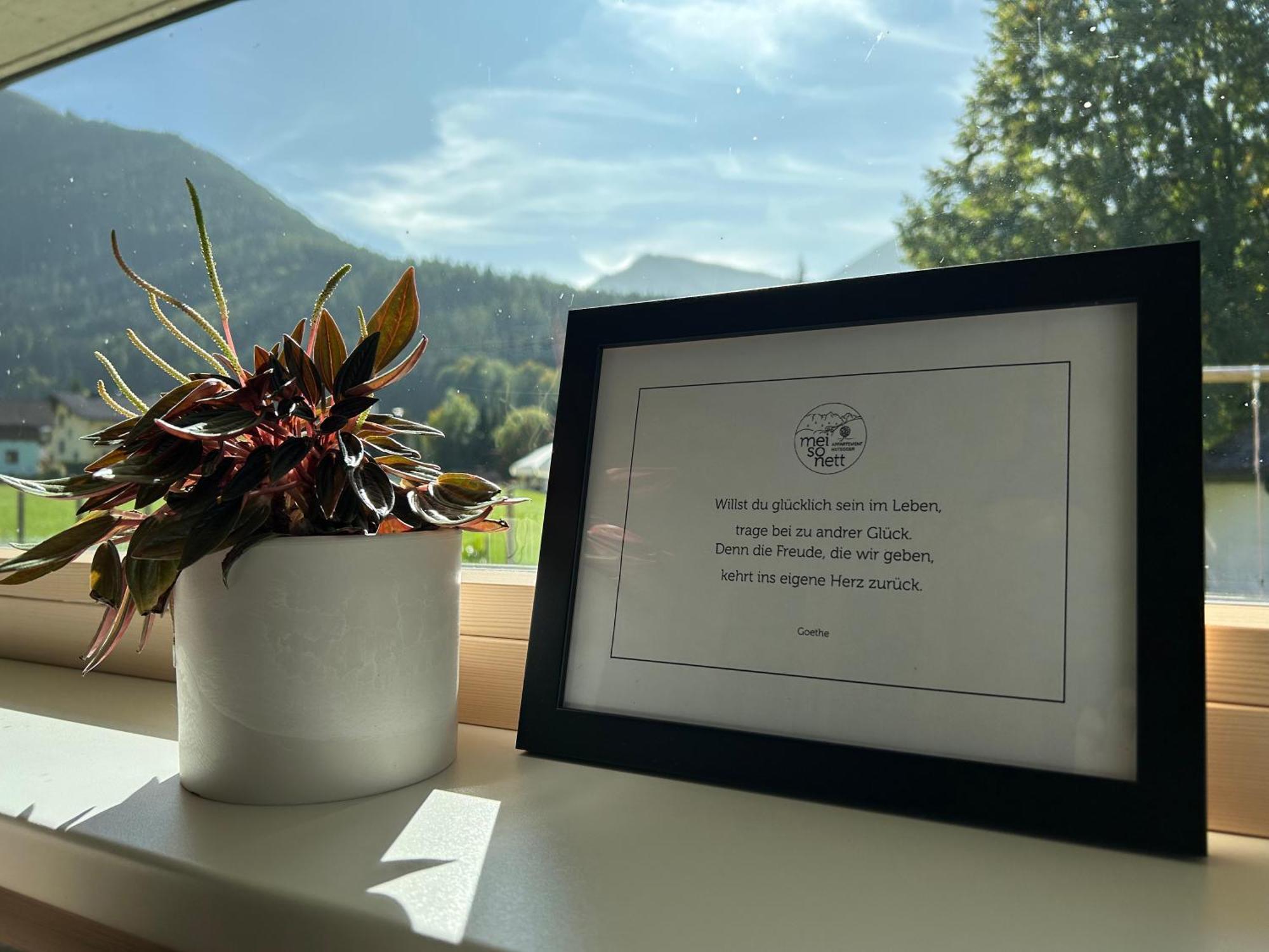Mei-So-Nett Appartement Hutegger Schladming Extérieur photo